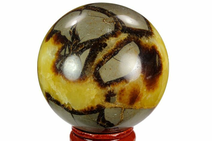 Polished Septarian Sphere - Madagascar #122910